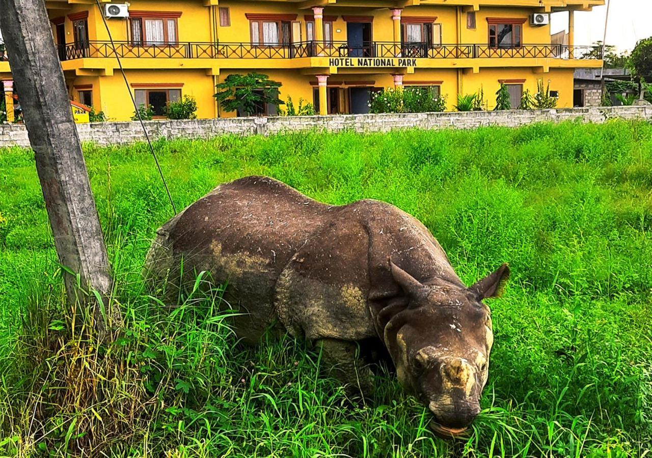 Hotel National Park Sauraha- Homely Stay And Peaceful Location With Jungle Safari Arrangements Kültér fotó