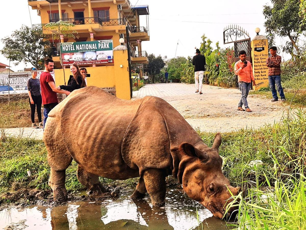 Hotel National Park Sauraha- Homely Stay And Peaceful Location With Jungle Safari Arrangements Kültér fotó