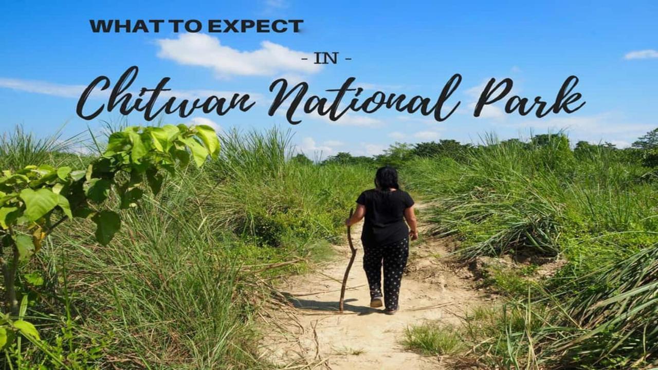 Hotel National Park Sauraha- Homely Stay And Peaceful Location With Jungle Safari Arrangements Kültér fotó